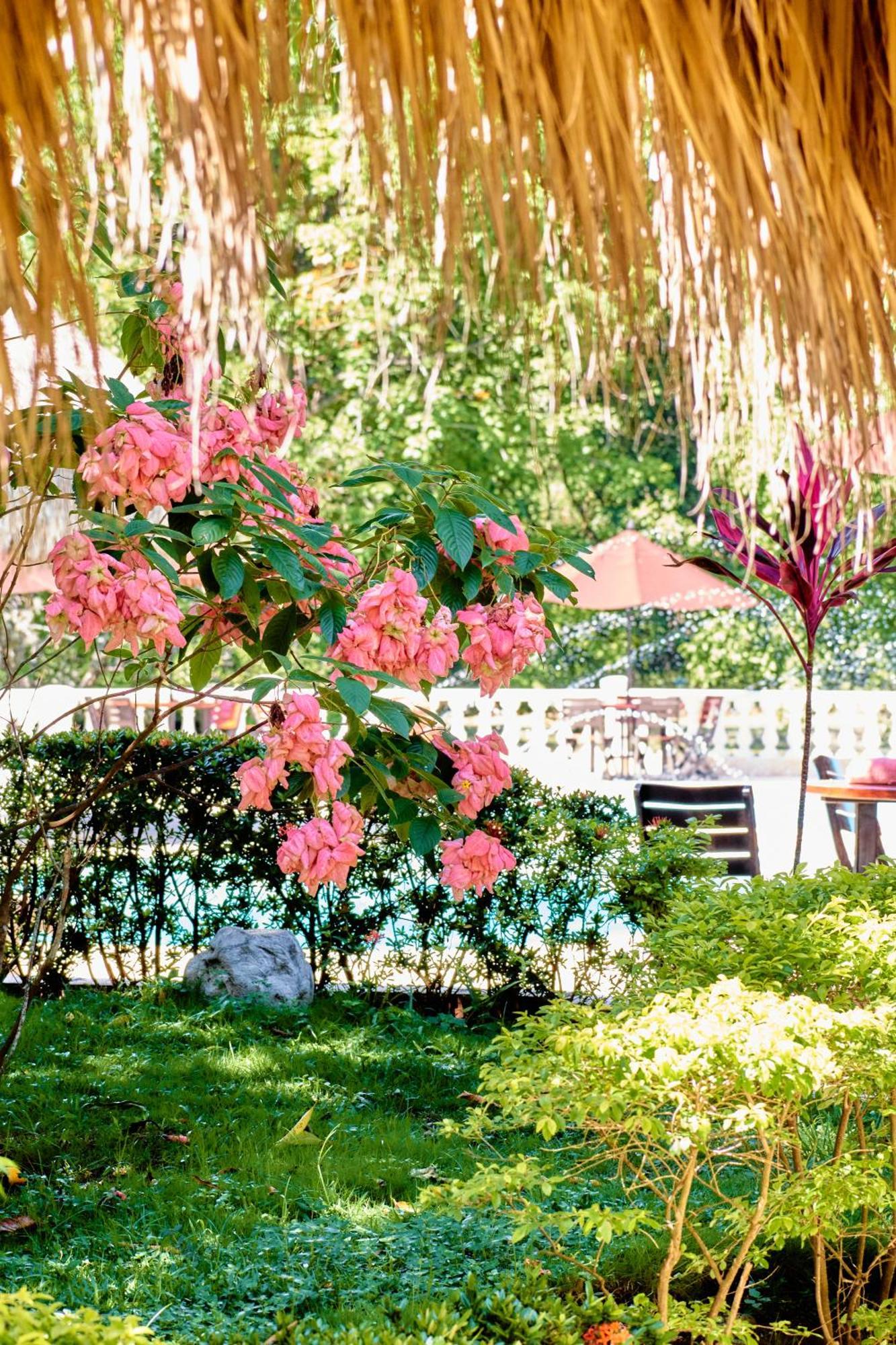 La Iguana De Santa Fe By Bernalo Hotels Santa Fe de Antioquia Eksteriør bilde